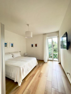 B&B Cellini